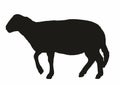 Sheep, black silhouette of farm animal, vector icon, eps. Royalty Free Stock Photo