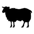 Sheep black silhouette vector illustration. Royalty Free Stock Photo