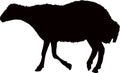 A sheep body black color silhouette vector