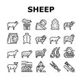 Sheep Breeding Farm Business Icons Set Vector