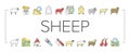 Sheep Breeding Farm Business Icons Set Vector .