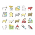 Sheep Breeding Farm Business Icons Set Vector .