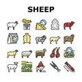 Sheep Breeding Farm Business Icons Set Vector