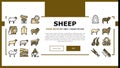 Sheep Breeding Farm Business Landing Header Vector