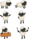 Sheep cartoon character Royalty Free Stock Photo
