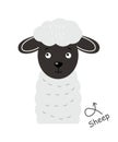 Sheep . Cartoon character . Vector Royalty Free Stock Photo