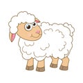 Sheep. Cartoon character young lamb isolated on white background. Template of cute farm animal. Education card for kids Royalty Free Stock Photo