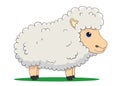 Sheep cartoon