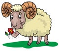 Sheep cheerful