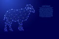 Sheep, cloven-hoof mammalian animal, from futuristic polygonal blue lines and glowing stars for banner, poster, greeting card.