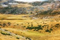 Sheep in countryside Macedonia Royalty Free Stock Photo