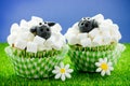 Sheep cupcakes , lamb cupcakes , adorable Easter cupcakes decorated with white marshmallow and black fondant