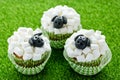 Sheep cupcakes , lamb cupcakes , adorable Easter cupcakes decorated with white marshmallow and black fondant