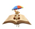 Sheep disciple christ bible jesus umbrella parasol safe security shelter weather holy bibles book christian faith god