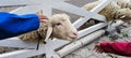 A sheep is eating long beans in the cage