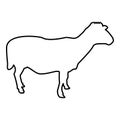 Sheep Ewe Domestic livestock Farm animal cloven hoofed Lamb cattle contour outline black color vector illustration flat style