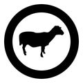 Sheep Ewe Domestic livestock Farm animal cloven hoofed Lamb cattle silhouette in circle round black color vector illustration Royalty Free Stock Photo