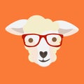 Sheep face with hipster glasses on