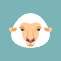 Sheep face isolated. Ewe head. Vector illustration