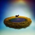 sheep face shot isolated on transparent background cutout