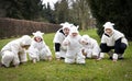Sheep family Royalty Free Stock Photo