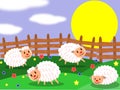 Sheep farm