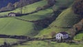 Sheep on a farm in aralar mountains, Navarre Royalty Free Stock Photo