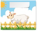 A sheep at farm banner