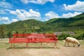 The sheep farm in the fruit orchard with red long chair and beautiful blue sky and cloud among mountain Royalty Free Stock Photo