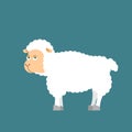 Sheep farm isolated animal. ewe on white background Royalty Free Stock Photo