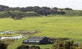 A sheep farm in New Zealand Royalty Free Stock Photo