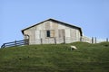 Sheep farm in New Zealand Royalty Free Stock Photo