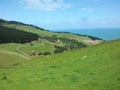 Sheep farm next to the turquoise sea in New Zealand Royalty Free Stock Photo