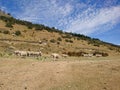 Sheep farm over high hill with blue sky Royalty Free Stock Photo