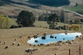 Sheep Farm - Pond in Fall