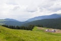 Sheep farm and view of Bucegi plateau Royalty Free Stock Photo