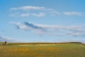 Sheep farming in Devon, England. Minimalist rural landscape. Royalty Free Stock Photo