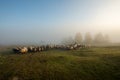 Sheep farming in Romania, new born Lamb at shepherd house, sustainable farming in Transylvania Royalty Free Stock Photo