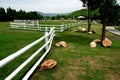 Sheep farms In the mountains