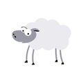 sheep in flat style. isolated 2d vector Royalty Free Stock Photo