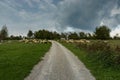 Sheep flock on the way to castle Dreznik, Croatia Royalty Free Stock Photo