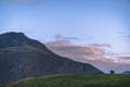 Sheep in front of beautiful Iceland Panorama Royalty Free Stock Photo