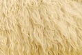 Sheep Fur Background Royalty Free Stock Photo