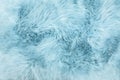 Sheep fur Blue colored sheepskin rug background texture Royalty Free Stock Photo