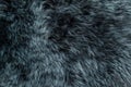 Sheep fur Grey sheepskin rug background texture Royalty Free Stock Photo