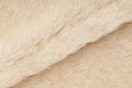 Sheep fur texture