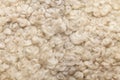 Sheep fur. Wool texture. Royalty Free Stock Photo