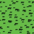 Sheep, goats and cows and walking on green pasture. Cattle grazing on green field pattern background. Farming and