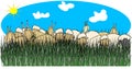 Sheep & goats in tall grass