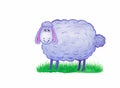 Sheep on a grass watercolor painting